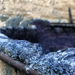 Plant blue dye Kendo suit